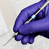 Gants en caoutchouc nitrile Bergamot Violet certifiés CE ISO EN, tailles XS-XL