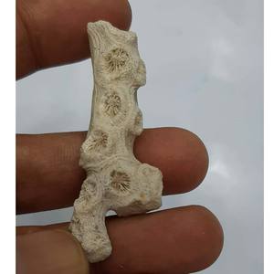 Bijoux en corail blanc naturel brut de designer, certifié IGI, personnalisé - Product Image 3