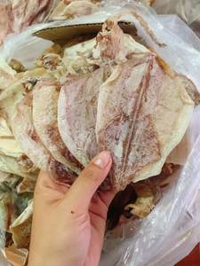 SQUID SÉCHÉ À BON PRIX DU VIETNAM/ HANA - Product Image 4