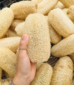 Jouets à mâcher naturels et biologiques en loofah pour lapins et chats, petite taille, vente en gros, export direct de la ferme du Vietnam, cultivés en toute sécurité pour les animaux de compagnie - Product Image 2