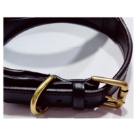 Collier pour chien en cuir orné de bijoux avec rivets décoratifs, motif animalier, accessoires en acier inoxydable, logo de marque personnalisé, vente en gros