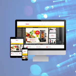 Société De Conception et De Développement De sites Web en Inde | Primé De Conception et de Développement Web Services par Webroot Infosoft - Product Image 1