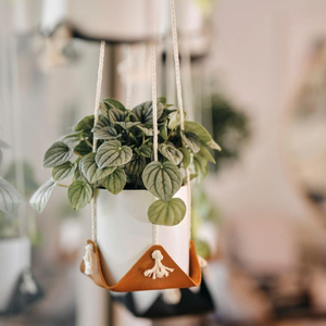 Porte-plantes en cordon de coton et cuir fait main de haute qualité, cadeau pour les amateurs de plantes - Product Image 1