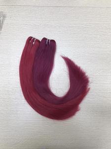 Extensions de cheveux naturels lisses pour femmes, style vietnamien, vierges, avec trame de couleur à la mode, - Product Image 2