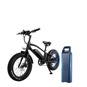 E自行车免费送货电动自行车，带双电池从欧盟仓库