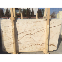 Dalle de marbre beige Sofita Premium 2023, épaisseur 20 mm, design moderne pour projets de construction intérieurs/extérieurs, fabriqué en Turquie