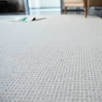 Custom Your Own Size Carpets and Rugs for Sale Whole Sale Carpet Price Living Room Rugs