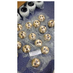 PET ODYSSEY CREMATION URN de BRSSWORLD INDIA Golden con Black Paw Print Brass Funeral Supply Product - Product Image 1