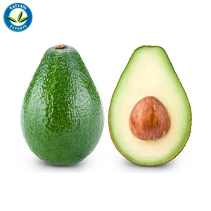 Aceite Esencial de aguacate orgánico Natural, alta calidad, 100% puro, venta al por mayor - Product Image 5