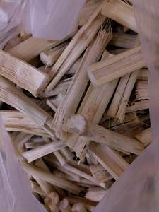 100% Dried Sugarcane Sticks <b>Chew</b> <b>Toys</b> / Dried Sugarcane Sticks Fiber Molar Sweet Bamboo for Small <b>Pet</b> / Shyn Tran - Product Image 5