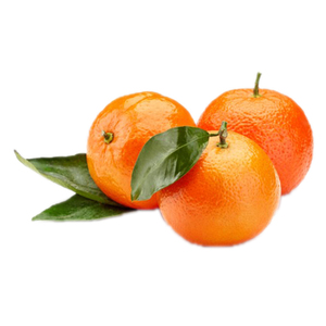 Sweet <b>Fresh</b> Mandarin Orange/<b>Fresh</b> Orange,Naval Orange,Valencia Oranges - Product Image 3
