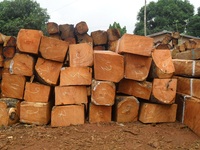 Bois de Tali du Cameroun d'Afrique avec une esthétique exceptionnelle - Prix négociable et taxes réduites