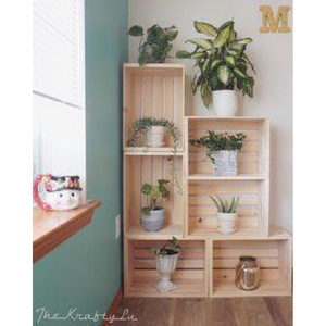 Hộp đóng gói cao cấp OEM ODM dịch vụ bền vững sinh thái thân thiện với thùng rượu giá rẻ giá thấp moq bán chạy nhất Thương hiệu chất lượng Việt Nam - Product Image 5