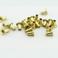 Oeillet de cadre en métal de ruche d'apiculture en laiton de 4mm de long 6mm 1 partie Mini tailles personnalisables sans nickel