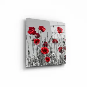 Pintura sobre amapolas de cristal, 1 pulgada, 40x40, arte Solución WBR-12-1006-03 para decorar una habitación, decoración moderna para el hogar