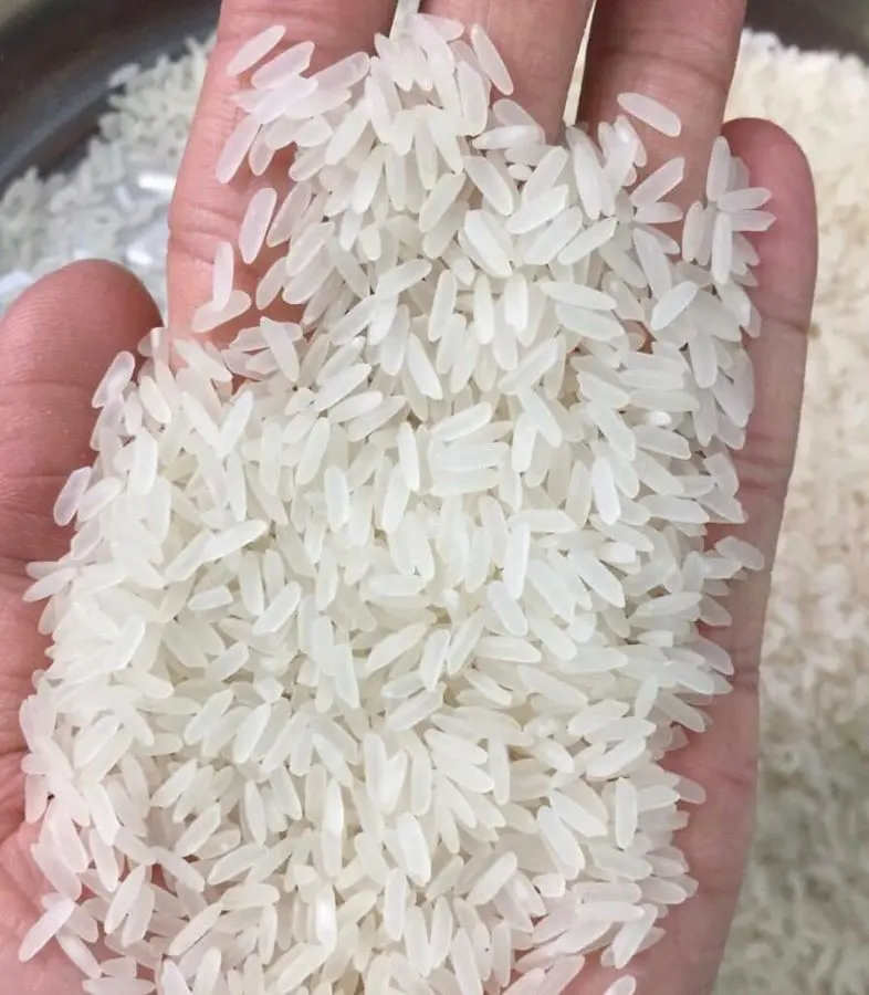 8 riz parfumé du Vietnam, 5% cassé/whatsapp + 84 904 312, pas cher, 620