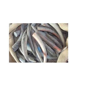 แตรควายสำหรับจับและประทับตราและขายเคล็ดลับแตรขนาดกำหนดเองได้ - Product Image 6