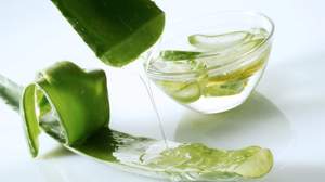 Aceite portador de gel de aloe vera prensado en frío para el cuidado de la piel Precio al por mayor - Product Image 3