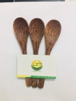 Ensemble de couverts et de vaisselle écologiques en bois de coco pour restaurants, utilisation en voyage, design traditionnel chinois, kit complet en provenance du Vietnam
