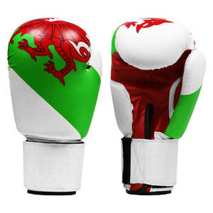 ถุงมือชกมวยคุณภาพสูงระดับมืออาชีพ ผลิตในปากีสถาน ถุงมือฝึกซ้อมคุณภาพเยี่ยม วัสดุ PU สังเคราะห์ ผลิตตามสั่ง พร้อมตะขอ - Product Image 3