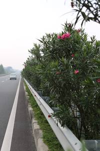 Guardrail - Fence - Signpost Highway Steel structure for safety on the Highway and Express way - Product Image 5