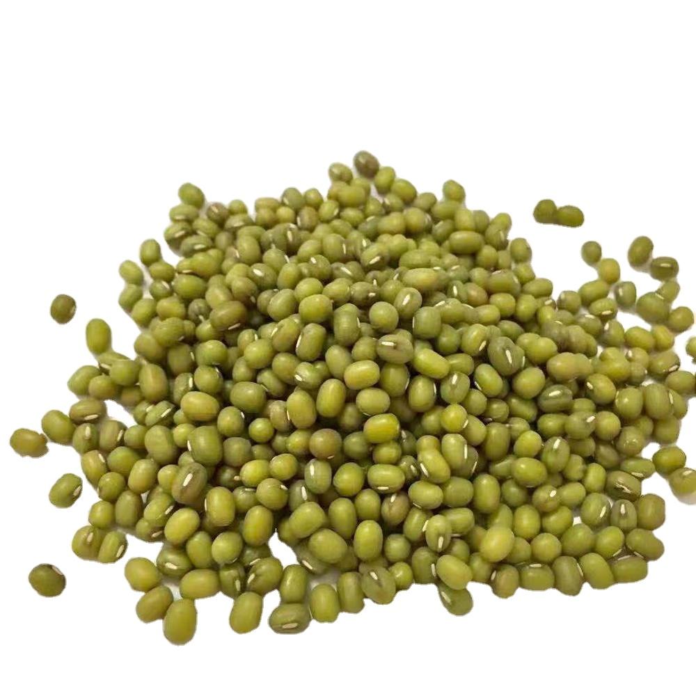 premium quality of green beans