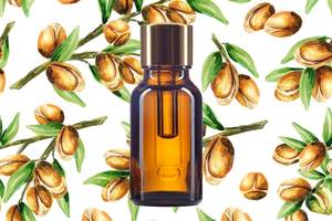 Huile Marocaine Porteur d'Argan Produit Grossiste - Product Image 6