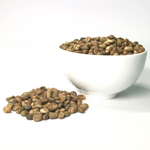 Vietnam Arabica Washed S18 Green <b>Coffee</b> <b>Beans</b> - Product Image 1
