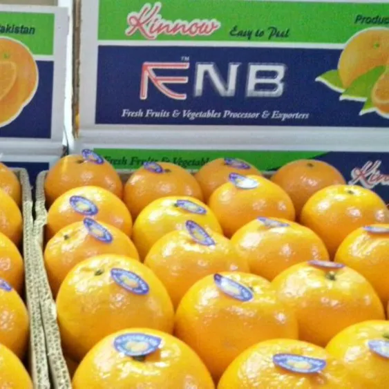 פקיסטנית תפוזי מנדרינית, Kinnow, כיתה איכות הדר