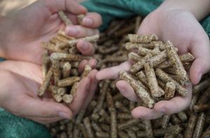 Polvo de Mazorca de Maíz, Pellets de Mazorca de Maíz, Materia Prima para Alimento Animal, Alimento para Ganado, Proveedor de Mazorca de Maíz de Vietnam, Venta al por Mayor a Granel - Product Image 4