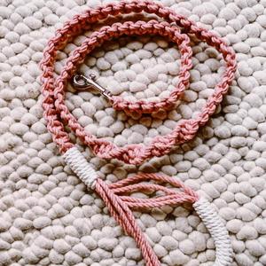 Correa de Macramé para Perro de Calidad Premium Increíble - Product Image 1