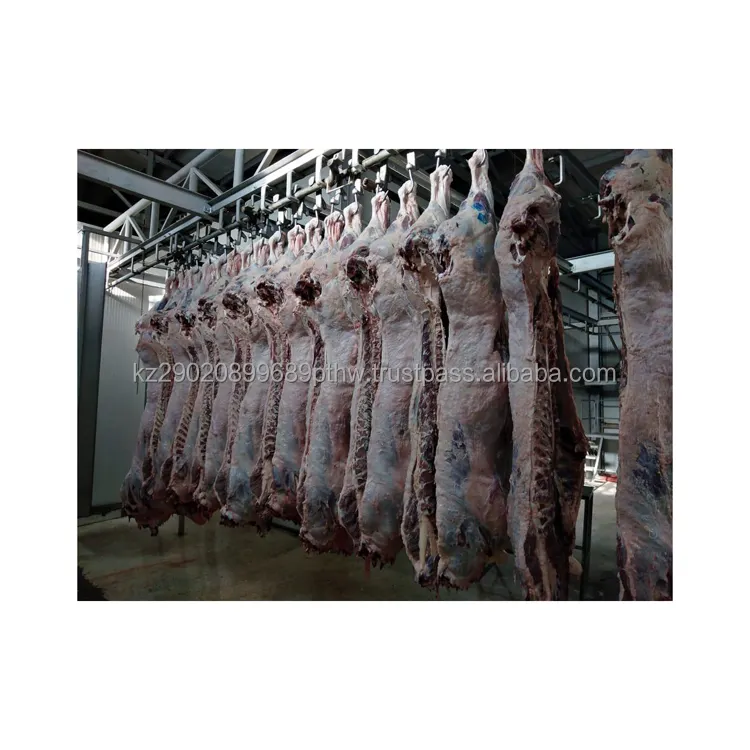 Bester Preis Rindfleisch eintopf Qualitäts standard der höchste Standard der kasachischen Fleisch industrie Kuh fleisch Rindfleisch
