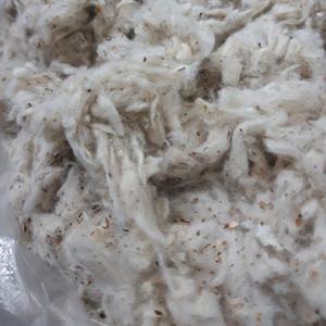 Lickerina de Algodón de Grado A&B de THANH VIN, Procedente de Vietnam, al Mejor Precio, Residuos Textiles para Hilado 2025 (Sra. Xavia +84 333371330) - Product Image 4