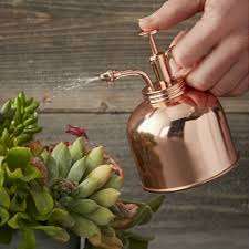 TOP ELEGANCE ORCHID PLANT MISTER PULVÉRISATEUR D'INDE Petit arrosoir en métal d'Inde pour jardinières de jardin - Product Image 4