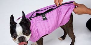 Ropa barata para perro gato mascota al por mayor de alta calidad - Product Image 5