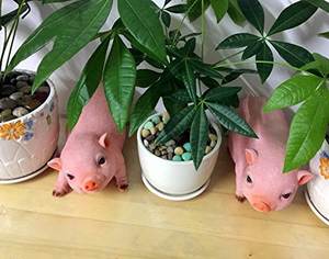 Agirlgle-estatua de Animal para jardín, estatua para exteriores, decoración del hogar, hecho en Vietnam, gran calidad, 2022 - Product Image 4