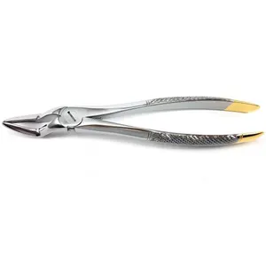 Tooth Extracting Upper Lower Molars Roots Incisors Dentistry Root Canines Premolars Forceps