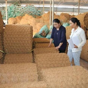 CHEAP PRICE COCONUT CARPET/ COCONUT FIBER/COCONUT <strong>NET</strong> FROM VIET NAM <strong>WHATSAPP</strong> Ms. Laura - Product Image 2