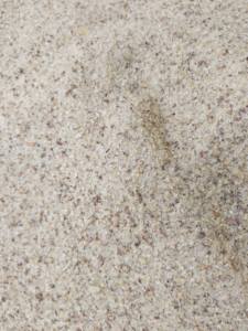 Best Quality Gum Copal <b>Dust</b> (<b>Powder</b>) Direct Manufacturer! Indonesia Origin Best Pricing Other Qualities Available - Product Image 2