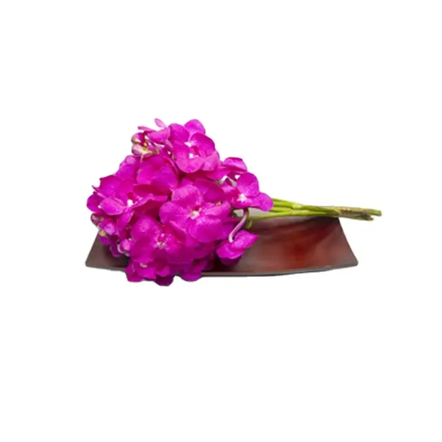 Orchids Flower Pink Fresh Cut Flowers from TH;32 Thai Orchid 0.12$