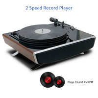 Haut-parleur de subwoofer Bluetooth de haute technologie, radio FM, platine vinyle, lecteur de disques vinyles