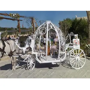 Obral Kereta Labu Cinderella Pernikahan Natal Kereta Luar Ruangan Putri Labu Cinderella Kereta Putri