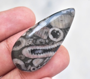 Piedra preciosa natural de coral fósil de crinoide, piedra preciosa semipreciosa de Cindrol, piedra preciosa suelta fósil para joyería - Product Image 5