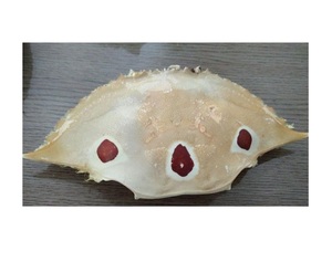 DRIED <strong>CRAB</strong> <strong>SHELL</strong>/ QUALITY <strong>CRAB</strong> <strong>SHELL</strong> POWDER/ DRIED <strong>CRAB</strong> <strong>SHELL</strong> MANUFACTURER &amp; EXPORTERS FROM VIET NAM - Product Image 3