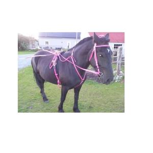 ARNÉS DE CARRERAS DE CABALLOS DE PVC ENGANCHE RÁPIDO MODELO HARDWARE DE LATÓN/ARNÉS DE CARRERAS DE CABALLOS PERSONALIZADO EN MATERIAL DE PVC - Product Image 3