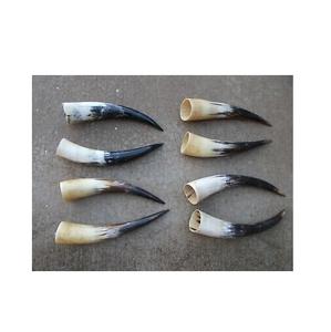 Corne de petite taille pour paire corne usine Inde artisanat pièce et meilleure qualité polie pour par artisanat - Product Image 2