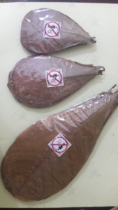 Hojas de almendra India secas naturales con embalaje de plástico Paquete de 10-12 pulgadas de 10 para limpieza de acuarios y agua - Product Image 6