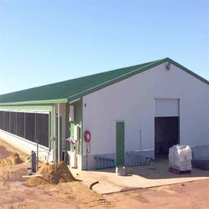 Il capannone moderno della mucca struttura il capannone del bestiame e il fienile della mucca da latte - Product Image 3