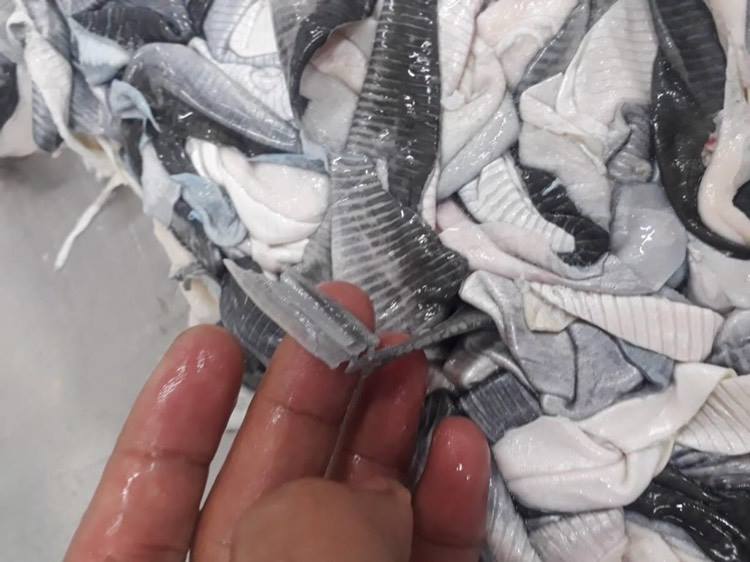 Dry seafood- dried fish anchovy from Vietnam Cheap Price- seafood(dot)linda(at)gmail(dot)com