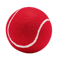 Ensemble de 6 balles de tennis en caoutchouc rouge de la marque HRM avec logo personnalisé, couleurs et tailles personnalisées pour le jeu en plein air pour adultes et enfants